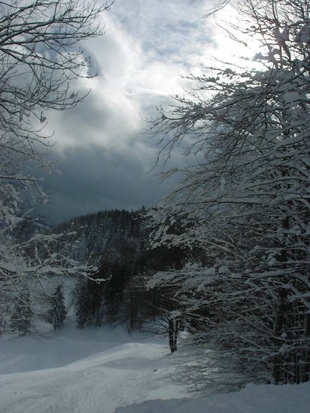 Snowboardn mit Bibi - 