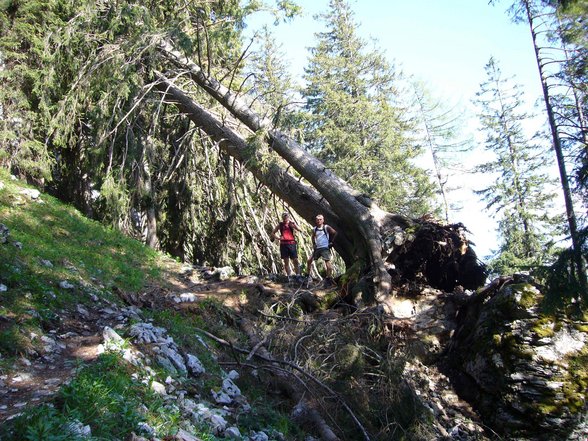 Bergläufe Herbst 2006/2007 - 