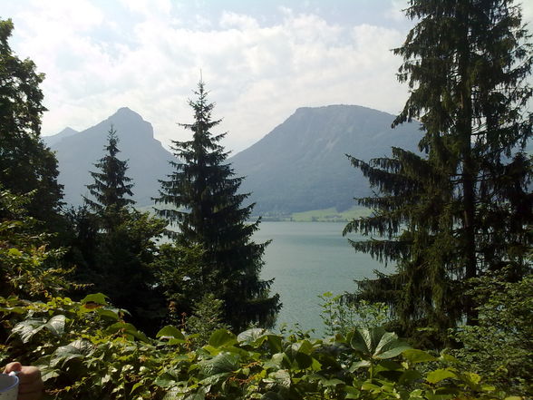 ??? Wolfgangsee 2009 ??? - 