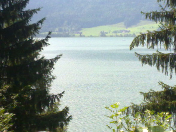 ??? Wolfgangsee 2009 ??? - 