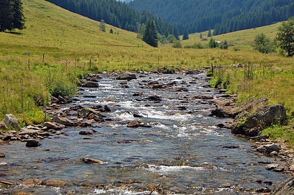 Klopeinerseeanfahrt 2008 - 