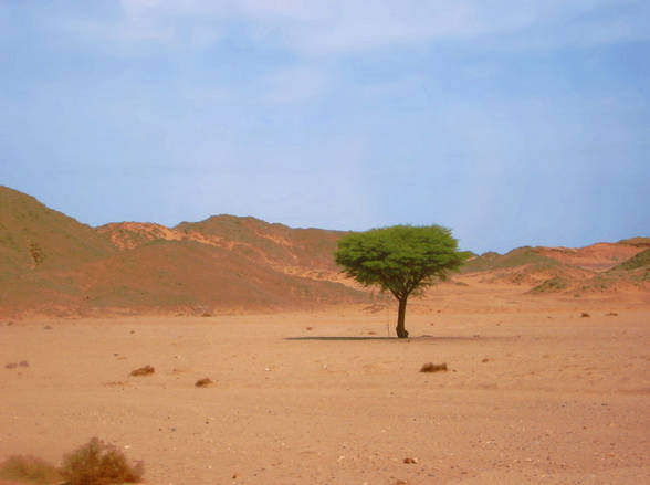 Ägypten Urlaub Nr.2 - 