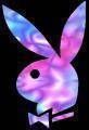 playboy bunny - 