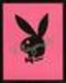 playboy bunny - 