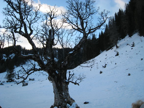 obertauern von 11.-15.01.2010 - 