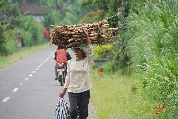 BALI 2009 - 