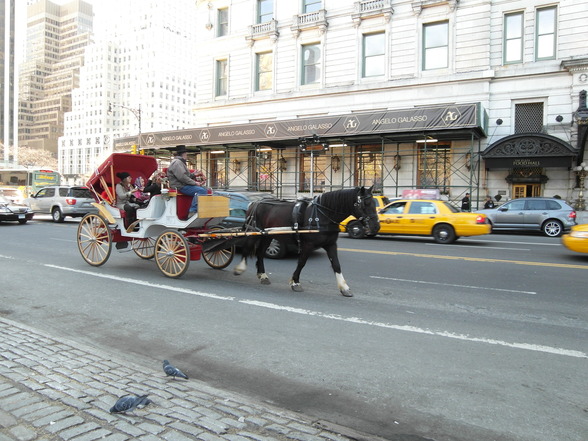 New York 2012 - 