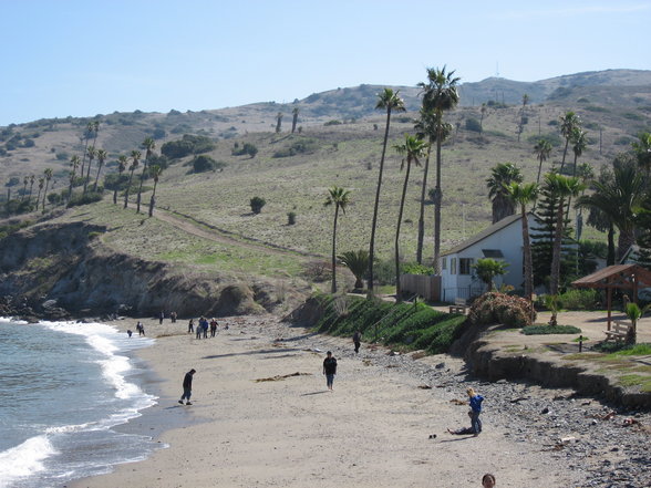 santa catalina island - 