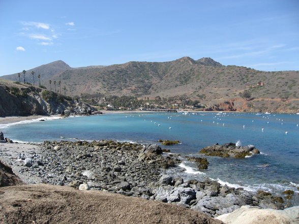 santa catalina island - 