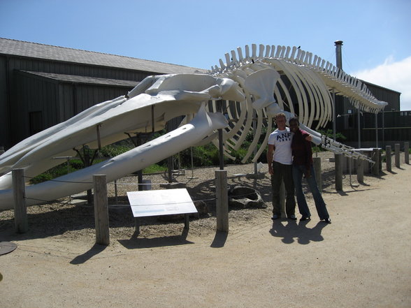 Montery Bay mit Windy/Sharks in La Jolla - 