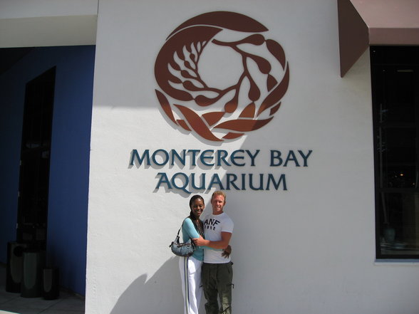 Montery Bay mit Windy/Sharks in La Jolla - 