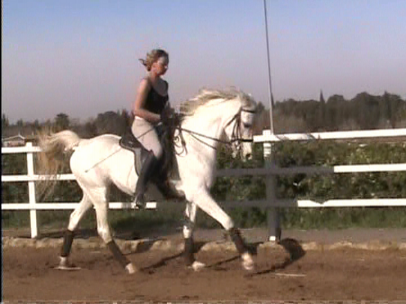 Reiten - 