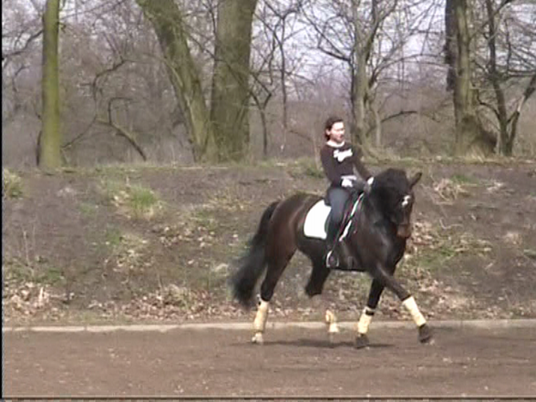 Reiten - 