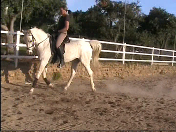 Reiten - 