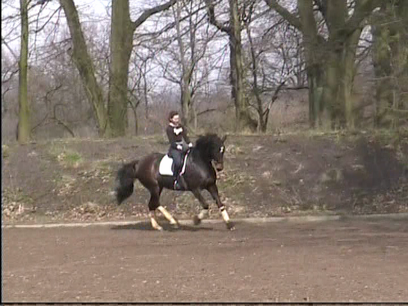 Reiten - 