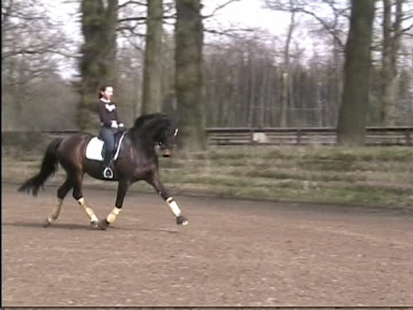 Reiten - 