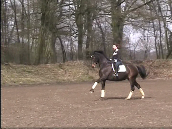 Reiten - 