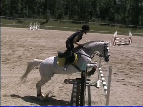 Reiten - 