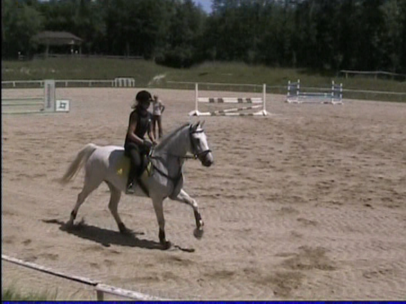 Reiten - 