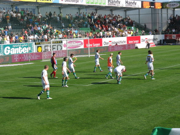 SK RAPID WIEN : ried - 