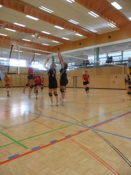 Volleyball Damen - 