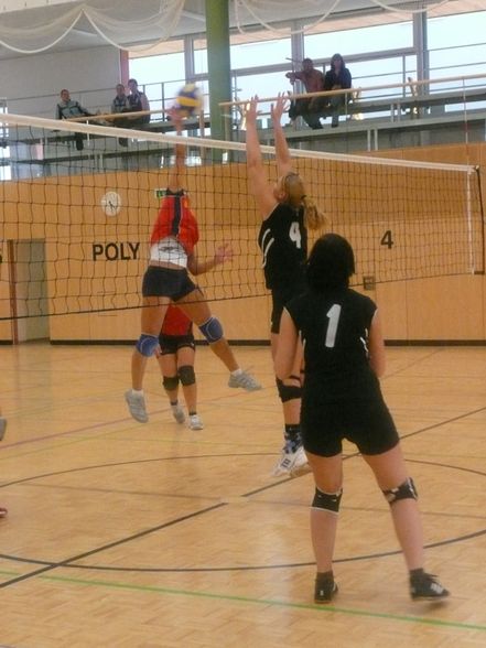 Volleyball Damen - 