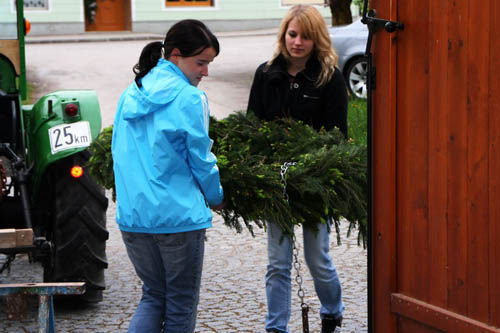 Maibaum aufstellen MV - Bachmanning - 