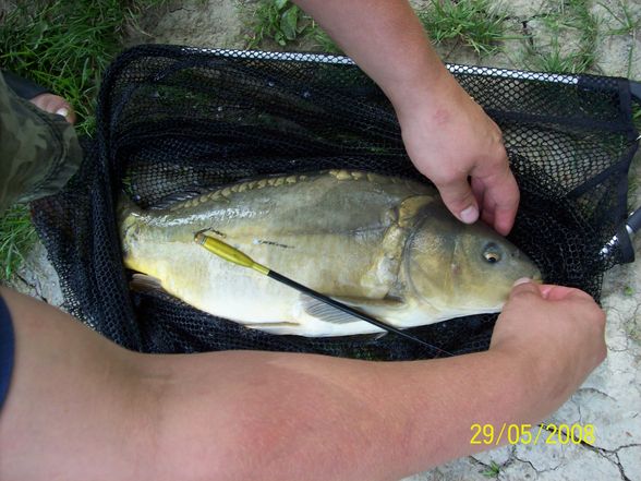 Fischen 2008 - 