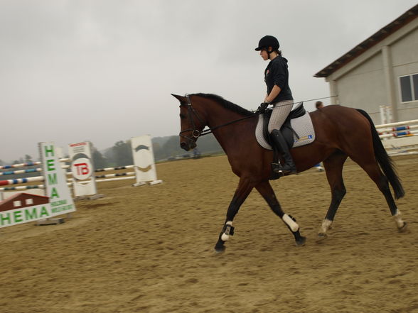 reiten in der schule - 