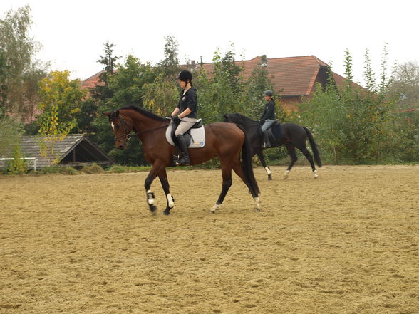 reiten in der schule - 