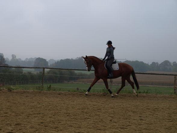 reiten in der schule - 