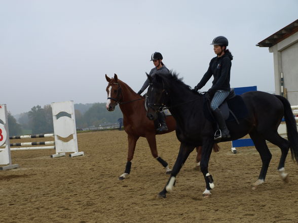 reiten in der schule - 