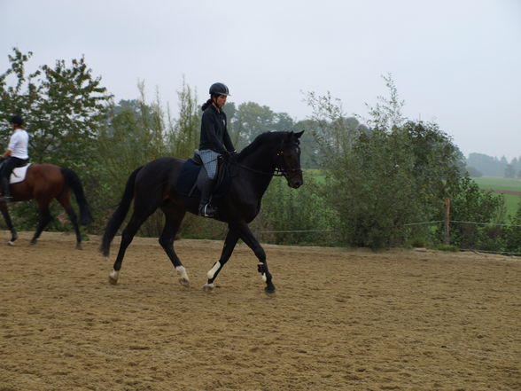 reiten in der schule - 