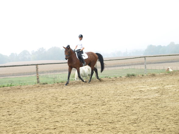 reiten in der schule - 