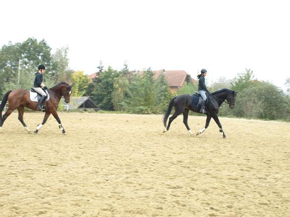 reiten in der schule - 