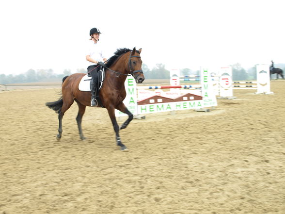 reiten in der schule - 