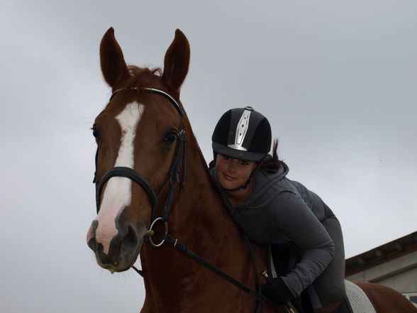 reiten in der schule - 