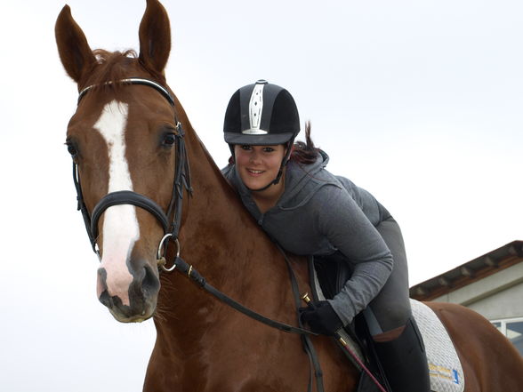 reiten in der schule - 