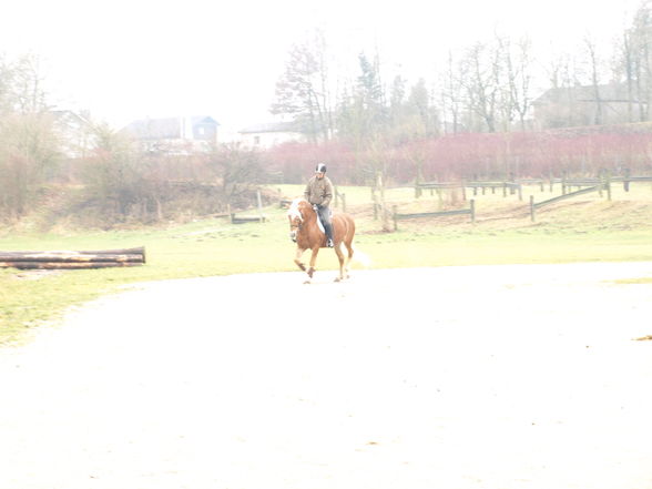 reiten in der schule - 