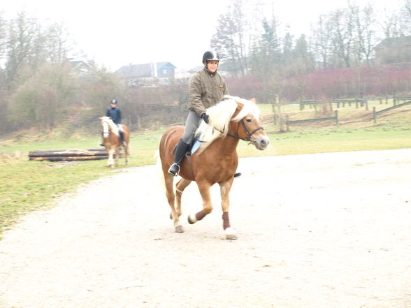 reiten in der schule - 