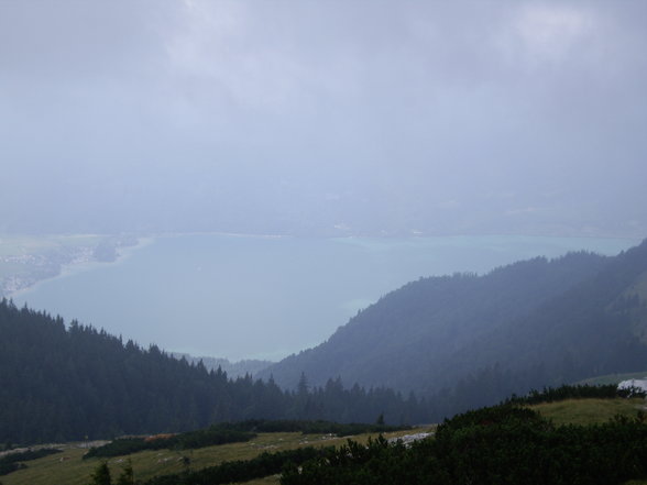 Schafberg - 4.8.2007 - 