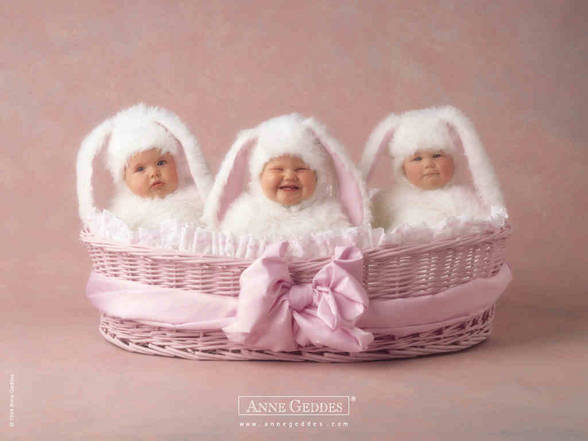 Anne Geddes - 