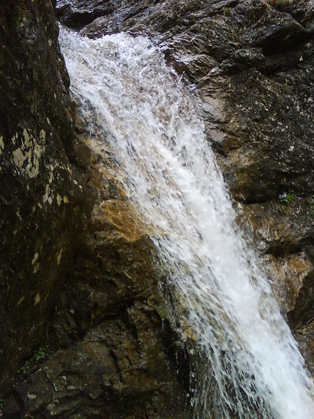 natur pur - 