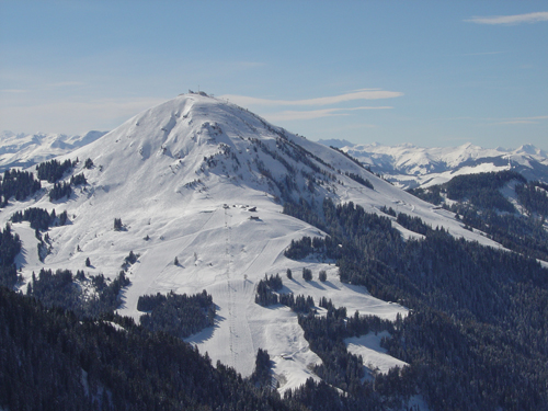 Bock auf Shredden!? - 