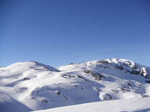 Bock auf Shredden!? - 