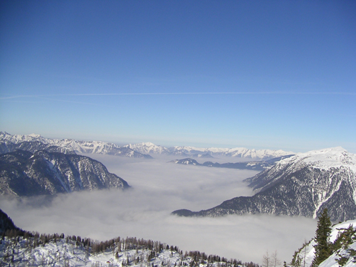 Bock auf Shredden!? - 