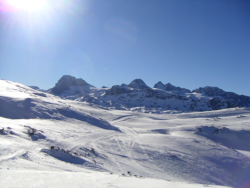 Bock auf Shredden!? - 