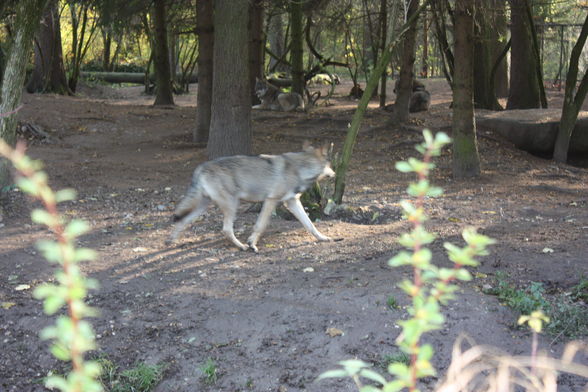 Tierpark München 2008 - 