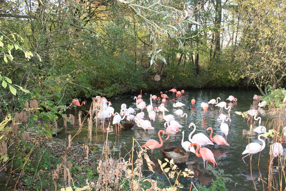 Tierpark München 2008 - 