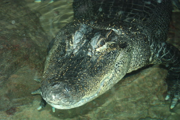 Tierpark München 2008 - 